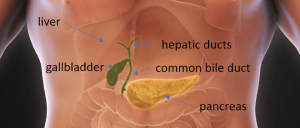 Gallbladder Surgery