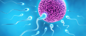 Ovulation Induction