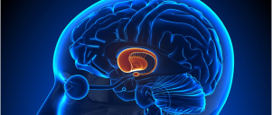 Parkinson’s Disease
