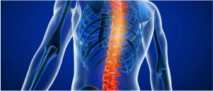 Peripheral Nerve Surgery