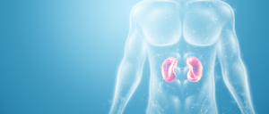 Kidney Transplant