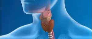 Swallowing Disorders (Dysphagia) – Diagnosis & Treatment