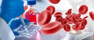 Bone Marrow Transplant